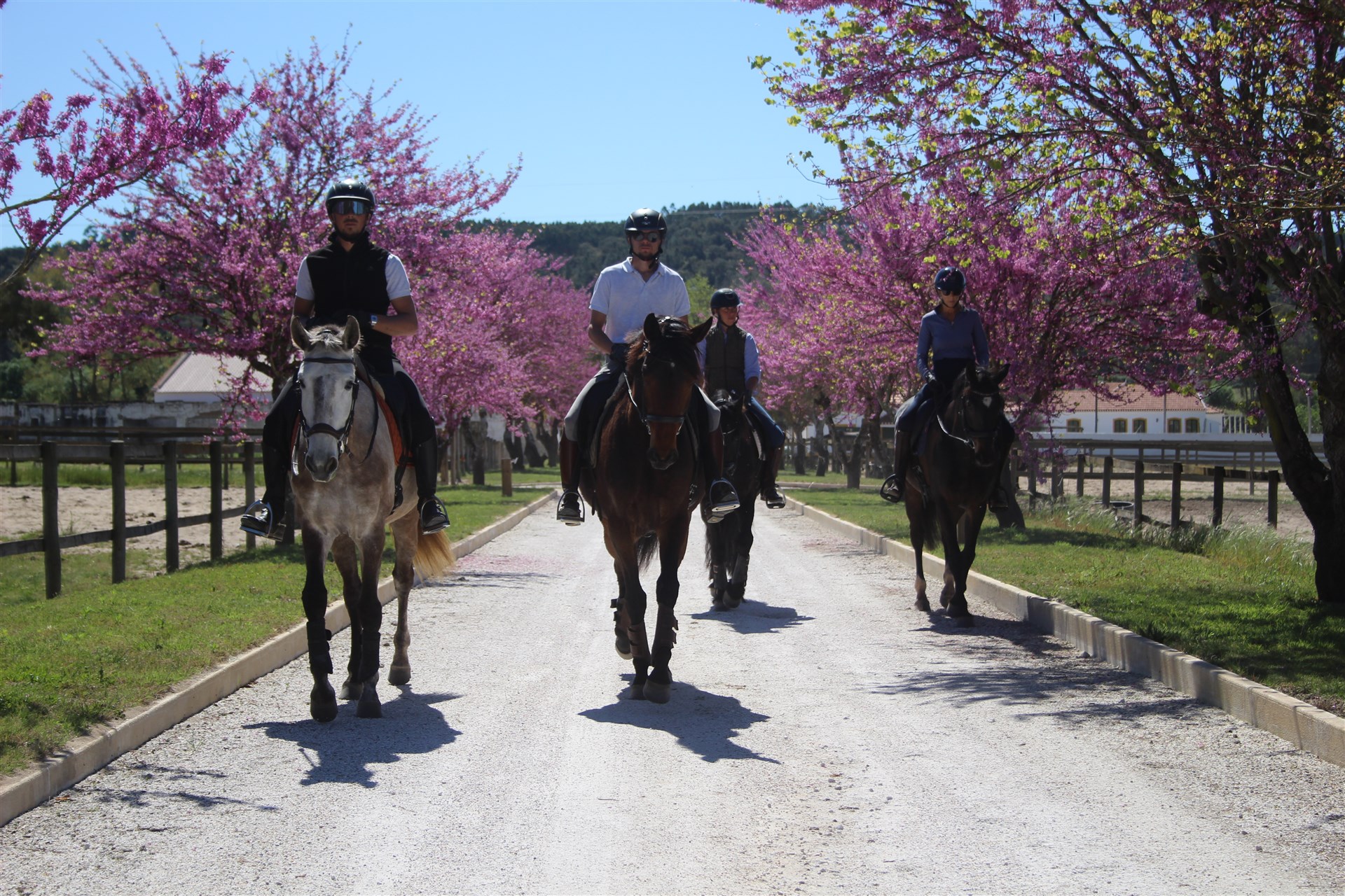 <h1 style="color:#C1B086;">Rideferie i Portugal</h1>
<div style="color: #b9ad8f; ">★ ★ ★ ★ ★</div>
<h2 style="margin-top:15px;"><small><small>eksklusiv rideferie i naturen – for familier og voksne</small></small></h2>