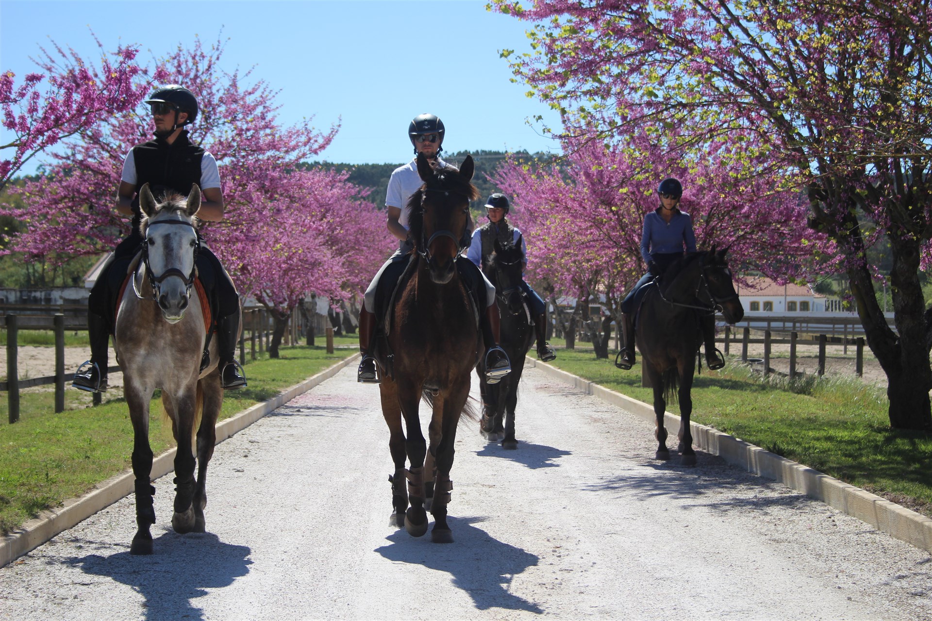 <h1 style="color:#C1B086;">Rideferie i Portugal</h1>
<div style="color: #b9ad8f; ">★ ★ ★ ★ ★</div>
<h2 style="margin-top:15px;"><small><small>eksklusiv rideferie i naturen – for familier og voksne</small></small></h2>