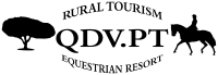 qdv.pt