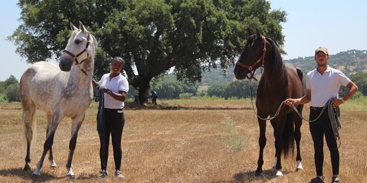 Riding holiday in Portugal